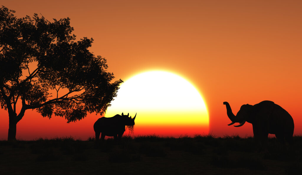 Home 3d african landscape